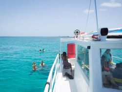 Icacos Snorkeling And Boat Tours Experience The Oceans Wonders