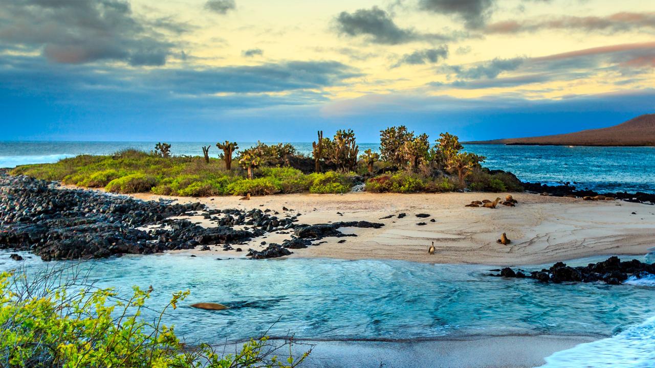 Islas Galápagos: historia, origen, ubicación, turismo, playas y más