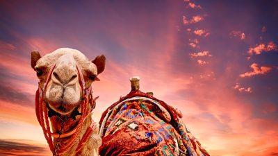 Los 25 gifs que te contagiarán las ganas de viajar